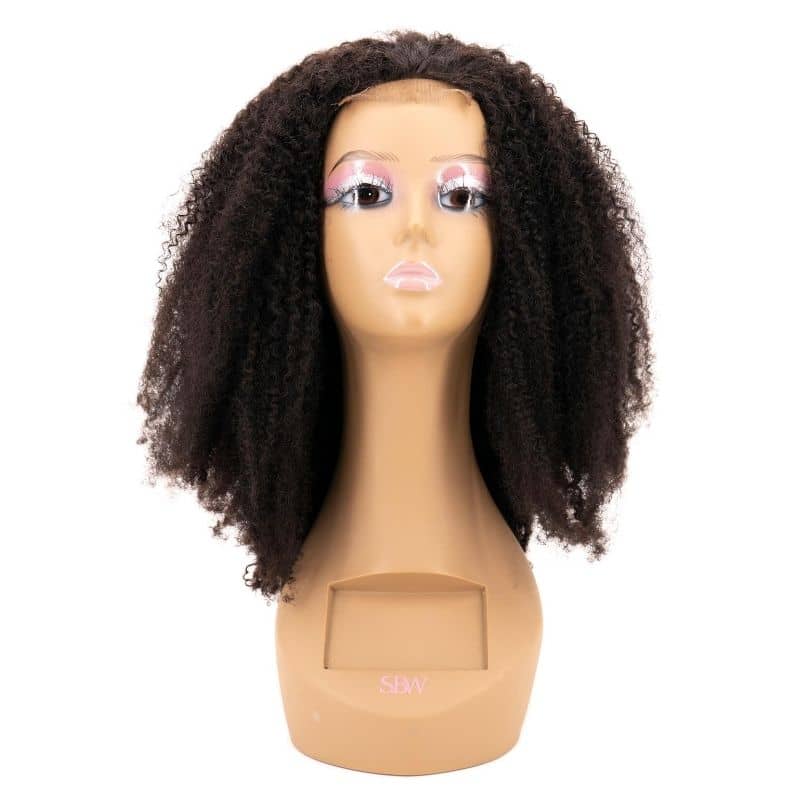 Afro Kinky Transparent Closure Wig - Braids Hair N More