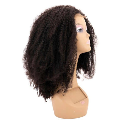 Afro Kinky Transparent Closure Wig - Braids Hair N More