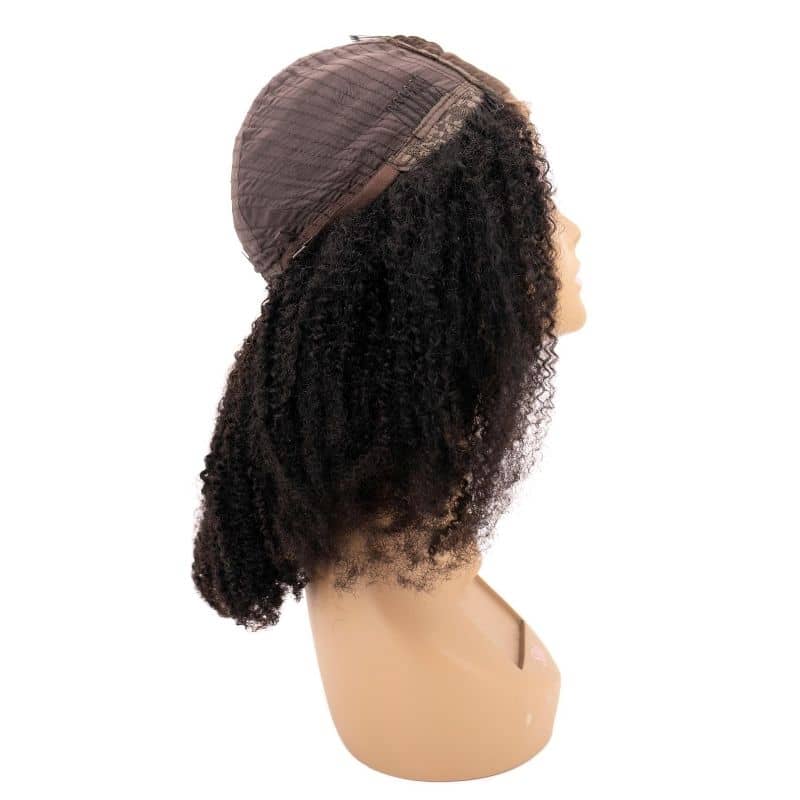 Afro Kinky Transparent Closure Wig - Braids Hair N More